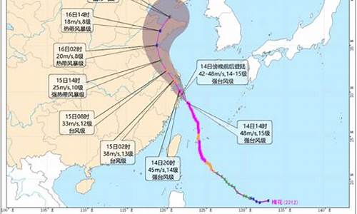 浙江台风预报实时路径_浙江台风预报实时